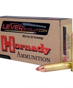 Hornady 45-70 FTX 21g/325gr